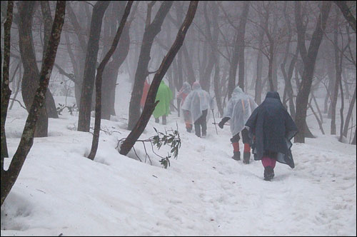 한라산 산행, 출발했을 때에는 많은 비가 내렸습니다. 